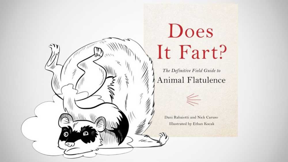does it fart